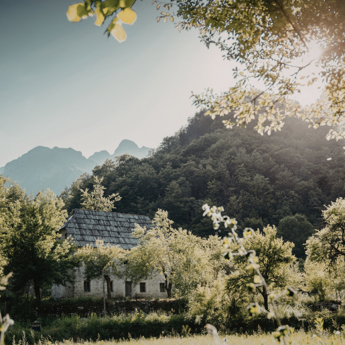 Retreat Alba Interiore